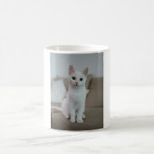 Katzen sind die besten 42 kaffeetasse (Mittel)