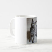 Katzen sind die besten 57 kaffeetasse (Vorderseite Links)