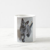Katzen sind die besten 57 kaffeetasse (Mittel)