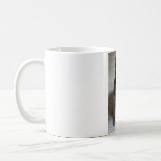 Katzen sind die besten 57 kaffeetasse (Links)