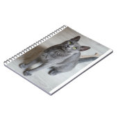 Katzen sind die besten 57 notizblock (Linke Seite)