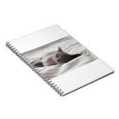 Katzen sind die besten 66 notizblock (Rechte Seite)