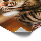 Katzen sind die besten 85 poster (Ecke)