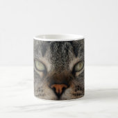 Katzen sind die besten 98 kaffeetasse (Mittel)