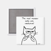 Katzen sind die ganze Nacht auf - Funny Cat Magnet (Vorderseite/Rückseite)