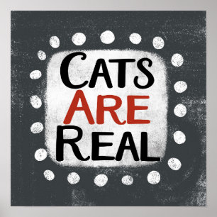 Katzen sind echte Plakatwände Kunst Poster