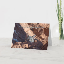 Katzen sind eine geheimnisvolle Art Volksnotecard Ankündigung