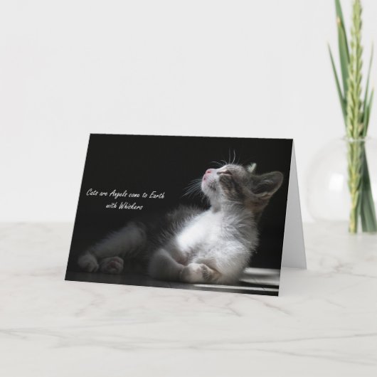 Katzen sind Engel kommen auf die Erde, notecard Ankündigung (Vorderseite)