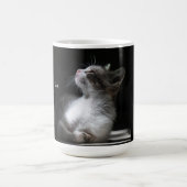 Katzen sind Engelchen Katzenkatze Tasse (Mittel)