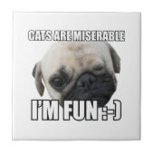 KATZEN SIND FEHLERBAR, ICH FREUE MICH :-) MEME FLIESE (Vorderseite)