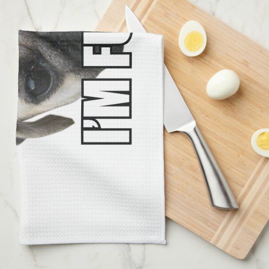 KATZEN SIND FEHLERBAR, ICH FREUE MICH :-) MEME GESCHIRRTUCH (Viertel Falte)