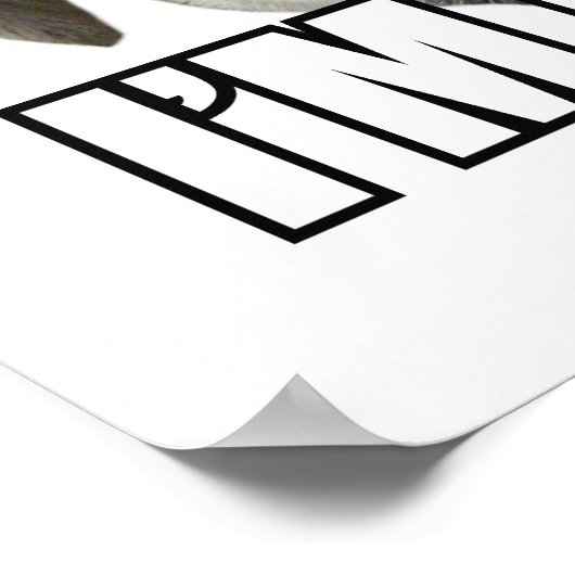 KATZEN SIND FEHLERBAR, ICH FREUE MICH :-) MEME POSTER (Ecke)