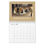 Katzen sind Katzen - Kalender - Liebe gewinnt (Jan 2027)