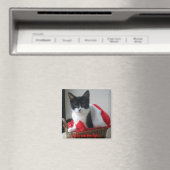 Katzen sind lebenslang.. magnet (In Situ (Geschirrspüler))