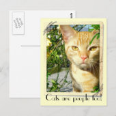 Katzen sind Leute zu Postkarten! Postkarte (Vorne/Hinten)