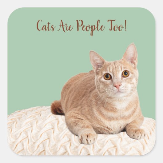 Katzen sind Menschen zu Stickern Quadratischer Aufkleber (Vorderseite)