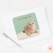 Katzen sind Menschen zu Stickern Quadratischer Aufkleber (Umschlag)