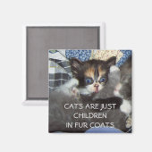 KATZEN SIND NUR KINDER IN VIER COATEN MAGNET (Vorderseite/Rückseite)