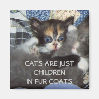 KATZEN SIND NUR KINDER IN VIER COATEN MAGNET