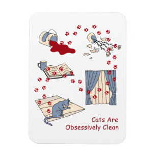 Katzen sind obsessiv sauber magnet