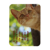 Katzen sind orange magnet (Vertikal)