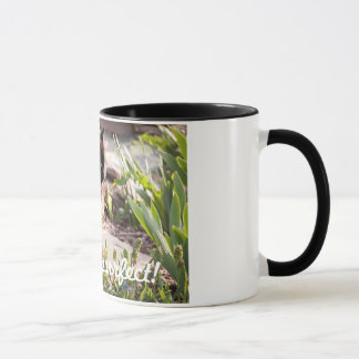 KATZEN SIND PURFFECT KAFFEE-TASSE TASSE