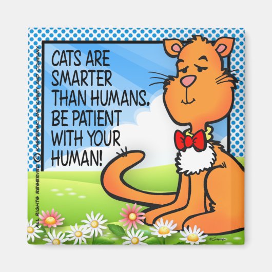 Katzen sind schlauer magnet (Vorne)