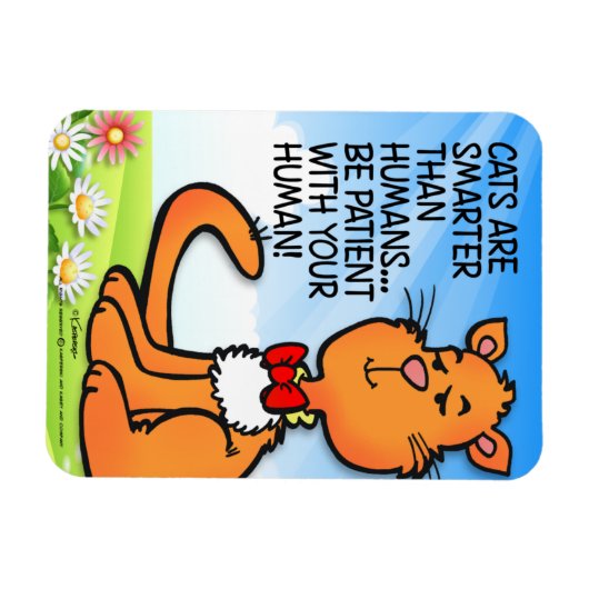 Katzen sind schlauer magnet (Horizontal)