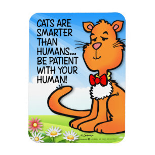 Katzen sind schlauer magnet