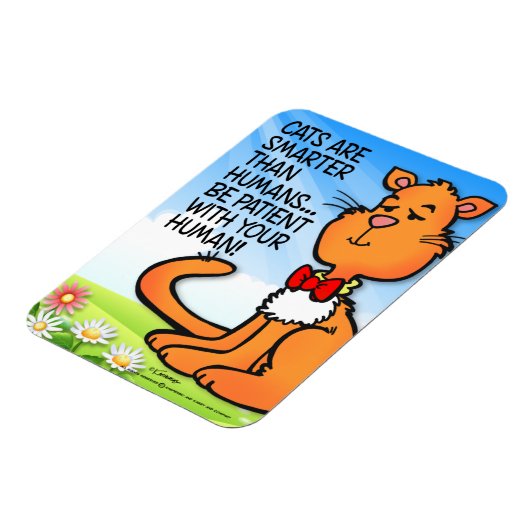 Katzen sind schlauer magnet (Linke Seite)