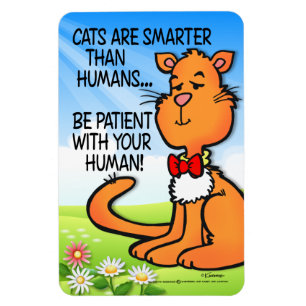 Katzen sind schlauer magnet