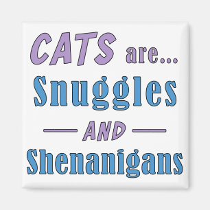 Katzen sind Schnecken und Shenanigans Magnet