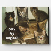 KATZEN SIND UNBEDINGT FOTOPLATTE (Vorderseite)