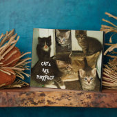 KATZEN SIND UNBEDINGT FOTOPLATTE (Seite)