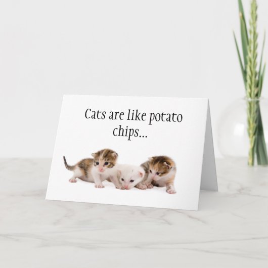 Katzen sind wie Kartoffelchips Funny Birthday Card Karte (Vorderseite)
