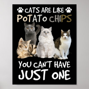 Katzen sind wie Kartoffelchips Katzenliebhaber T-S Poster