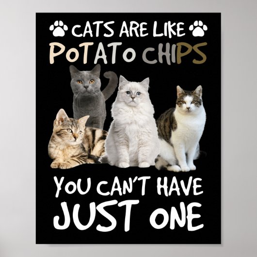 Katzen sind wie Kartoffelchips Katzenliebhaber T-S Poster (Vorne)