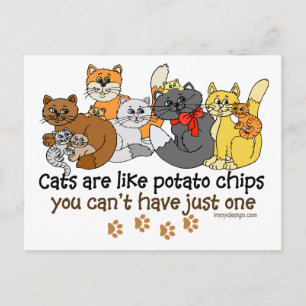 Katzen sind wie Kartoffelchips Postkarte