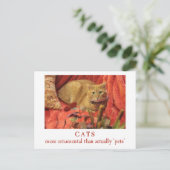 Katzen sind Zierkatzen Postkarte (Stehend Vorderseite)