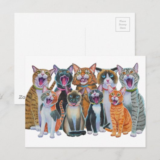 Katzen singen postkarte (Vorne/Hinten)