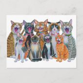 Katzen singen postkarte (Vorderseite)