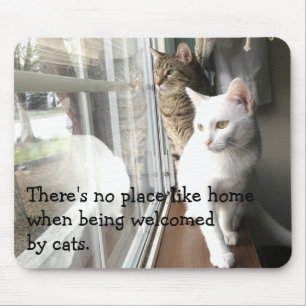Katzen sitzen am Fenster Mousepad