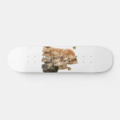 Katzen Skateboard (Horizontal)