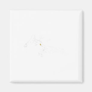 Katzen Skeleton Hand Boop Halloween Niedliche Schw Magnet