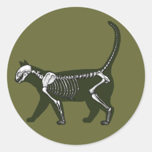 Katzen-Skelett Runder Aufkleber