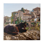 Katzen sonnen sich an einer Wand - Valldemossa, Ma Fliese (Vorderseite)