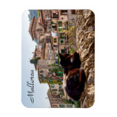 Katzen sonnen sich an einer Wand - Valldemossa, Ma Magnet (Vertikal)