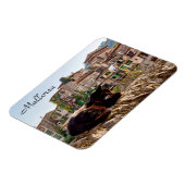 Katzen sonnen sich an einer Wand - Valldemossa, Ma Magnet (Linke Seite)