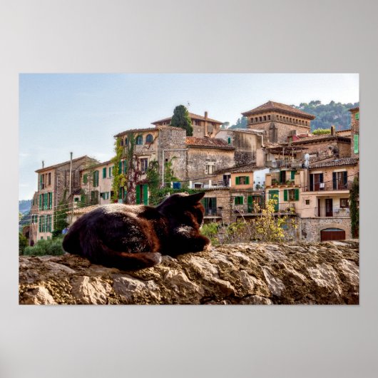 Katzen sonnen sich an einer Wand - Valldemossa, Ma Poster (Vorne)