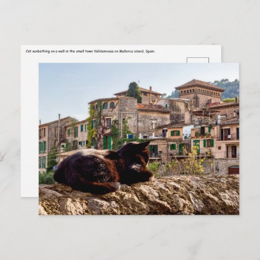 Katzen sonnen sich an einer Wand - Valldemossa, Ma Postkarte (Vorne/Hinten)